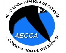 SOCIO DE AECCA 