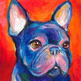 Cachorritos puppybull