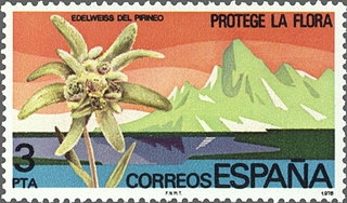 z vendido ESPAÑA 1978 2469 Sello Nuevo Proteccion de la Naturaleza Edelweiss del Pirineo Espana Spain Espagne Spagna Spanje Spanien 