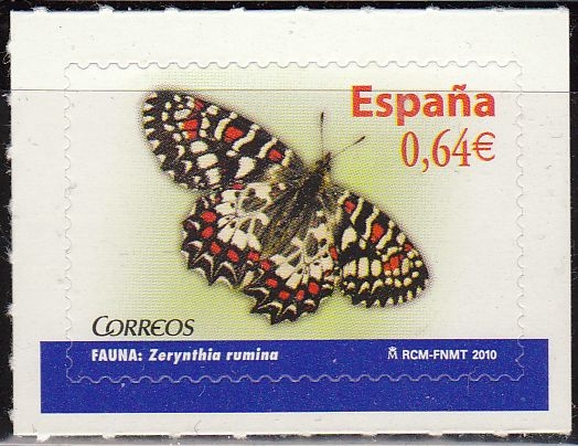 z vendido España 2010 4536 Sello ** Fauna Mariposa Zerynthia Rumina Timbre Espagne Spain Spagna 