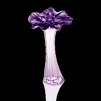 Eau de Toilette Muse