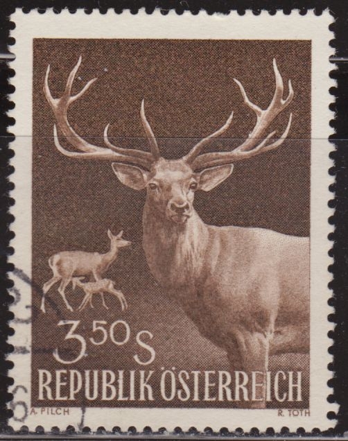 Austria 1959 Scott 643 Timbre º Fauna Animales Ciervos y Cervatillo Rojo 3,50S Timbre Autriche Osterreich
