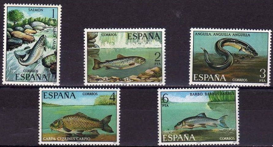 España 1977 2403/7 Sellos ** Fauna Hispanica Peces Completa Salmón Trucha Anguila Carpa Barbo Timbres Espagne Espana stamps Spain