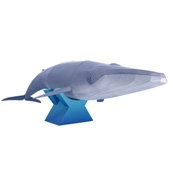 Ballena Azul