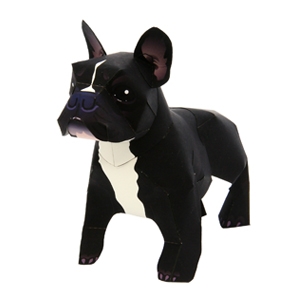 Bulldog  Frances