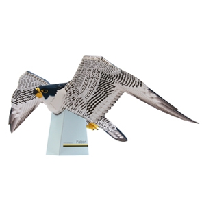 Halcon