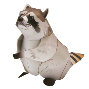 Mapache
