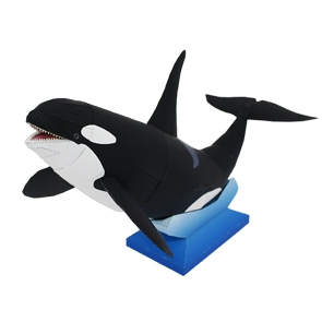  Ballena Orca