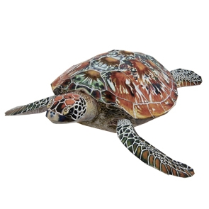 Tortuga de mar