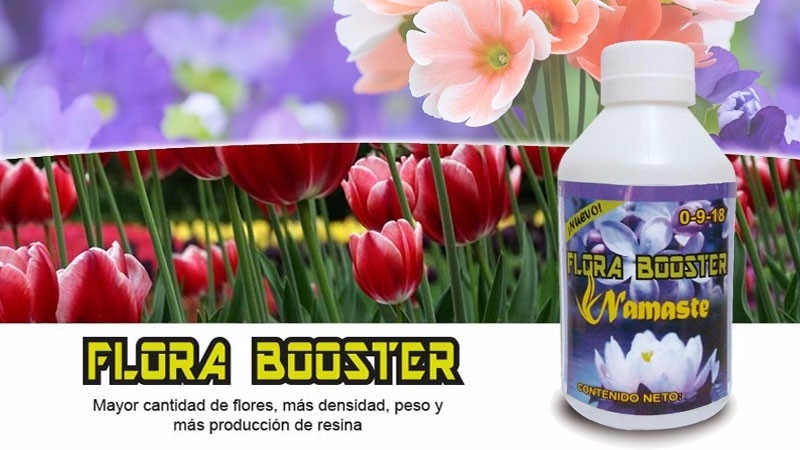 NAMASTE FLORA BOOSTER 100ML