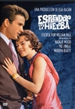 Esplendor en la hierba
