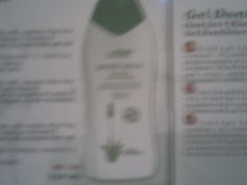 Body Milk Aloe Vera +  Vitamina E -259 ml