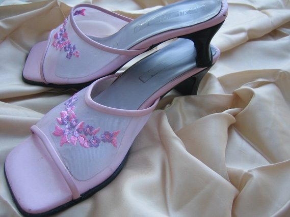 Zapato fantasia