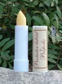 Protector labial