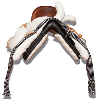 Montura amazona