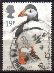 z vendido GRAN BRETAÑA Great Britain 1989 1185 Sello Pájaros Aves Frailecillo común Usado