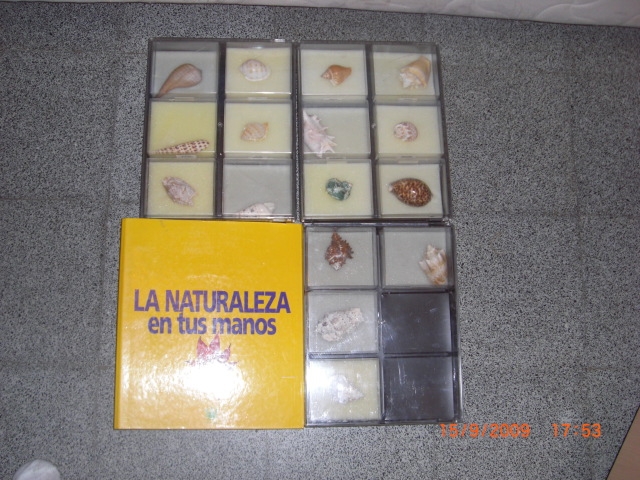 La naturaleza en tus manos 5 ibros  + conchas
