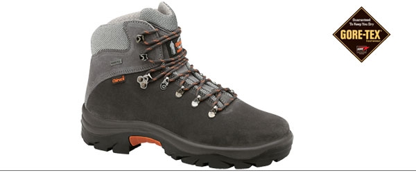 Bota xacobeo