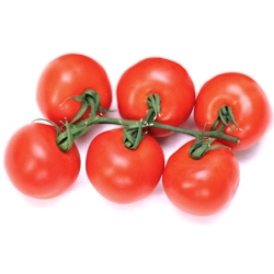 Tomate en rama