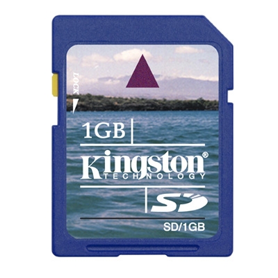 Memoria SD 1Gb
