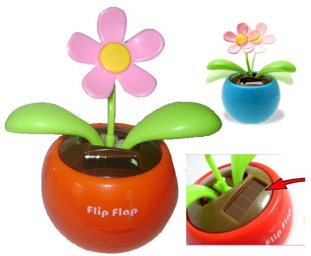 FLORES SOLARES