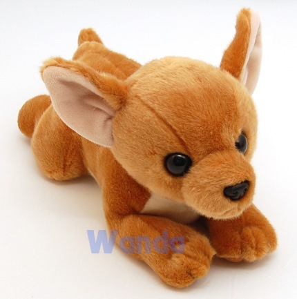 Perrito Chihuahua